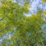 雨上がりの晴れ間