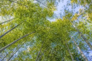 雨上がりの晴れ間