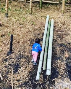 竹やぶ遊び　竹のすべり台