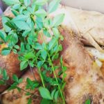 4月上旬の「筍姫」販売