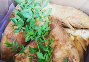 4月上旬の「筍姫」販売