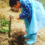 一生懸命なタケノコ掘り