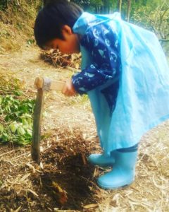 一生懸命なタケノコ掘り