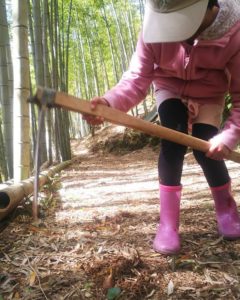 タケノコ掘りのお手伝い