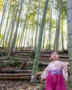 国産たけのこを食べよう！