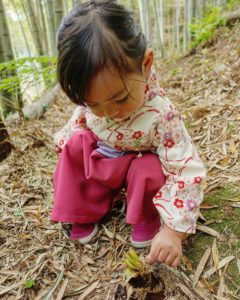 たけのこみーつけた♪