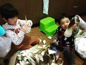 兄弟でタケノコむきむき