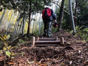 阿波たけのこ農園 チェンソーマン