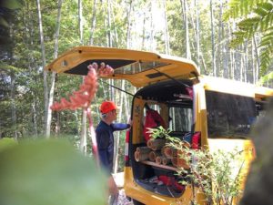 竹林整備2021に向けて