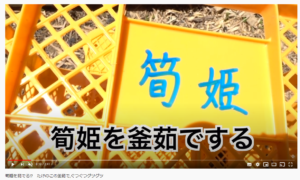 筍姫 釜茹でvlog