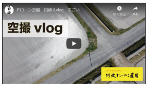 2020年の米作り 田植えvlog