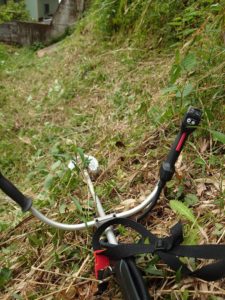 竹やぶの草刈り＆山のご褒美