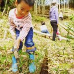 竹やぶ散策・遊山