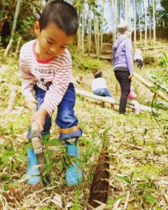 竹やぶ散策・遊山