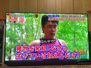 たけのこ王！　筍姫も頑張ります（＾＾）