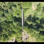 那賀町の「あいあいらんど」紫陽花が見頃です♪