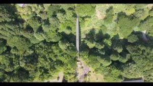 那賀町の「あいあいらんど」紫陽花が見頃です♪