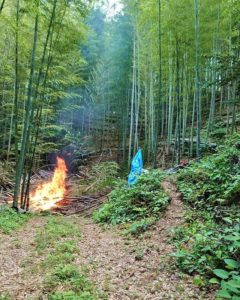 古竹を焼き払い