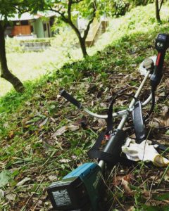 梅雨明け前の竹やぶ草刈り