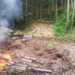 竹林整備　竹を燃やして片付ける様子　マムシ注意！