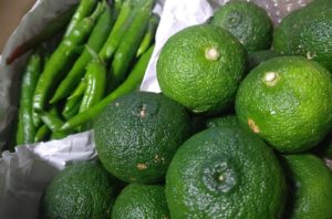 木頭ゆずと唐辛子で柚子胡椒づくり