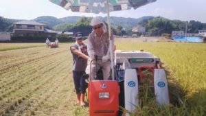 稲刈り2020/08いただきます＾＾