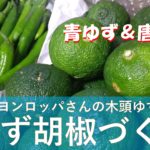 木頭柚子の青ゆずで柚子胡椒づくり ムービー