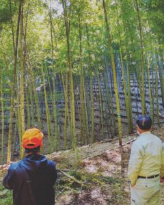 大先輩の竹やぶ訪問！【タケノコ勉強】