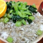 野沢菜ちりめんご飯