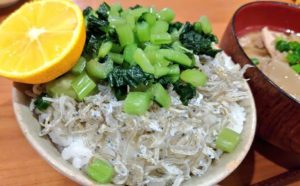 野沢菜ちりめんご飯
