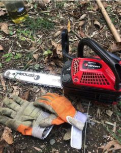 竹の間伐どんどんやっていきます！