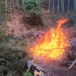 間伐した竹を燃やして竹林をきれいに整備！