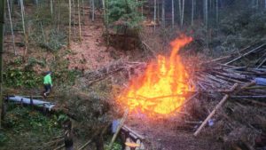 間伐した竹を燃やして竹林をきれいに整備！