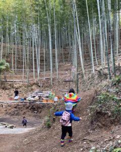 たけのこ探検隊出動！