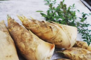 春の味覚「たけのこ」のいろんな表記