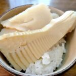 たけのこごはん