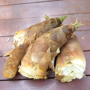 ぷっくり美味しそうな筍もでできてます♪