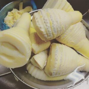 タケノコのアク抜き