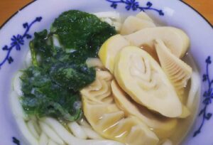 山菜うどん