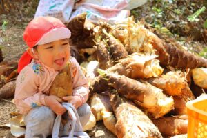 タケノコいっぱい♪　たけのこひめのお手伝い