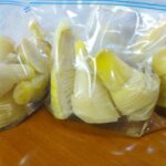 たけのこの保存はこれでバッチリ！