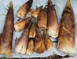 そろそろ2021ラストですね