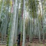 【竹林整備】竹の先止め(ウラドメ・末止め)の様子