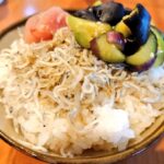 茄子の塩もみちりめんごはん