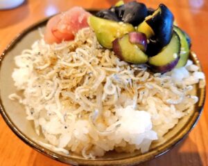 茄子の塩もみちりめんごはん