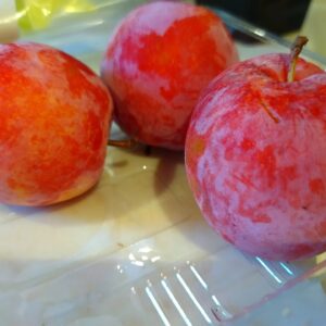 酸っぱ旨いすもも