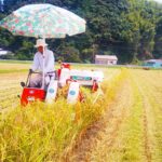 2021年は少し遅れましたが８月には稲刈り完了！