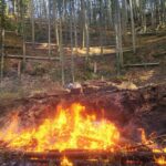 竹やぶ掃除 間伐した竹を焼いていきます