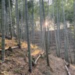 竹林がきれいになってきました!