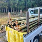 竹パウダー用の竹運び　軽トラにガンガン積んでいきます